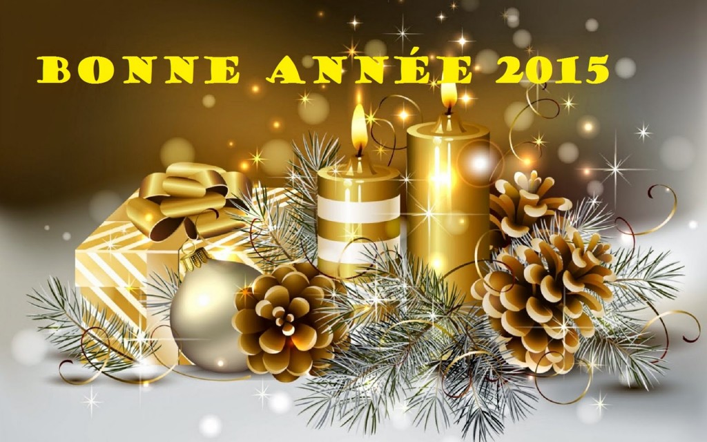 Bonne année 2015